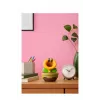 Nintendo Talking Flower, Συλλεκτική φιγούρα, Βιντεοπαιχνίδι