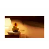 Nintendo Talking Flower, Συλλεκτική φιγούρα, Βιντεοπαιχνίδι