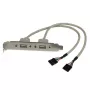 StarTech.com Προσαρμογέας Πλάκας Slot 2 Θυρών USB A Θηλυκό, 2 x IDC, 2 x USB A, 0,286 m, Ασημί