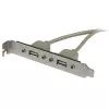 StarTech.com Προσαρμογέας Πλάκας Slot 2 Θυρών USB A Θηλυκό, 2 x IDC, 2 x USB A, 0,286 m, Ασημί