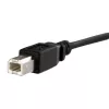 StarTech.com Καλώδιο USB Panel Mount 1 ft B σε B – F/M, 0,3 m, USB B, USB B, USB 2.0, 0,48 Gbit/s, μαύρο