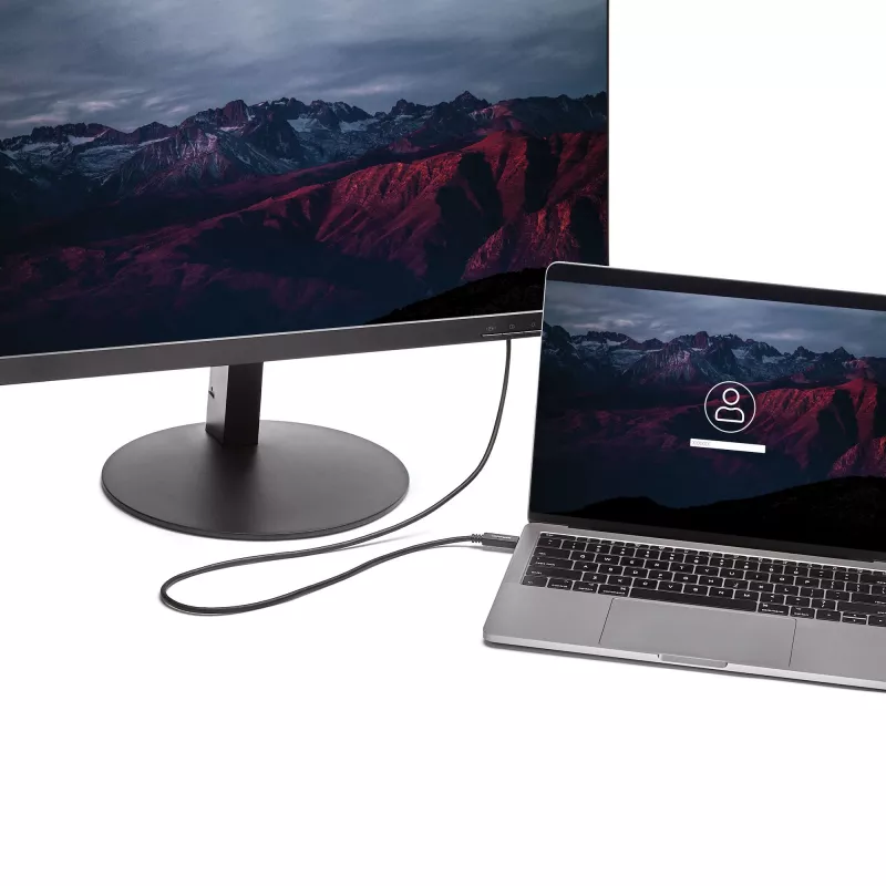 StarTech.com Καλώδιο USB-C σε DVI 2 m – 1920 x 1200 – Μαύρο