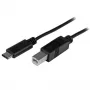 StarTech.com καλώδιο USB-C σε USB-B - M/M - 2 m (6 ft.) - USB 2.0