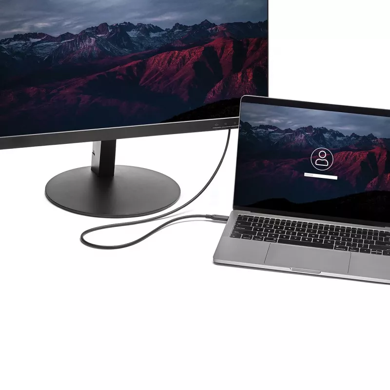StarTech.com Καλώδιο USB-C σε Mini DisplayPort 6 ft. (1,8 m) - 4K 60Hz - Μαύρο
