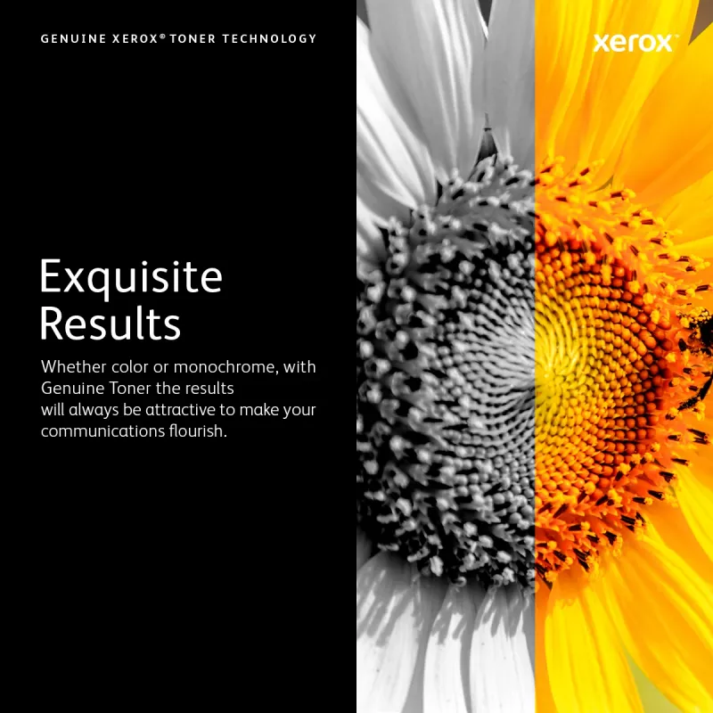 Xerox 106R03765 τόνερ 1 τεμ. γνήσιο μαύρο