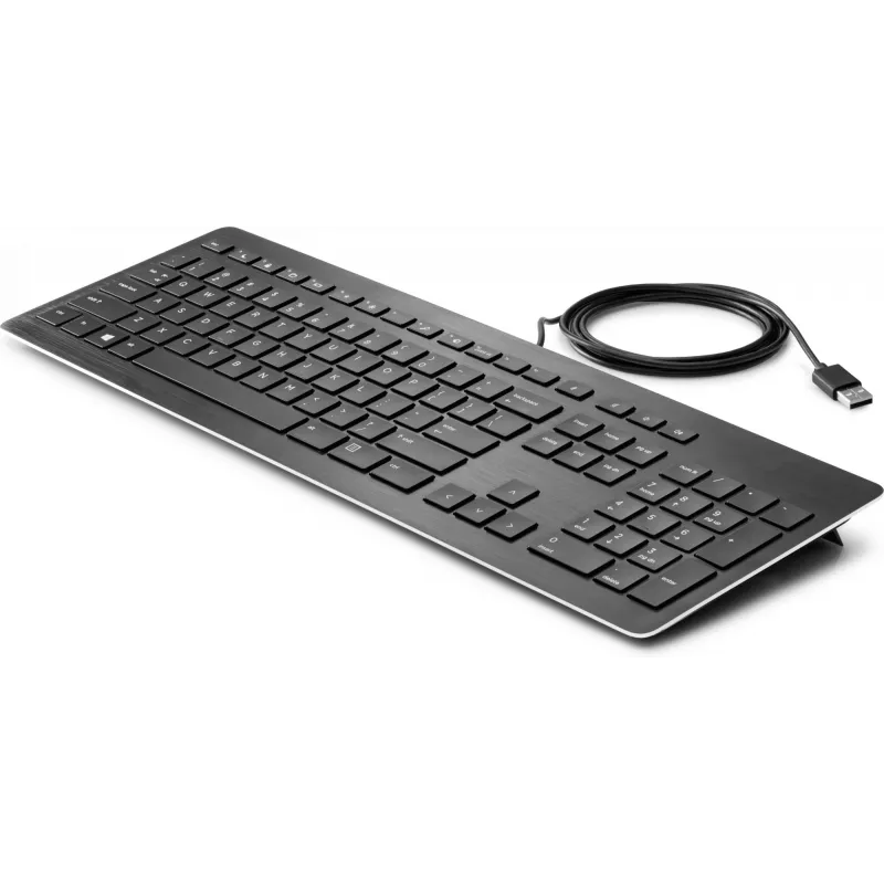 HP USB Premium πληκτρολόγιο, Full-Size (100 %), Ενσύρματο, USB, Μεμβράνης, Μαύρο