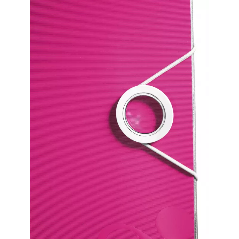 Leitz Lever Arch File Active PP WOW A4/80 mm, A4, Polyfoam, ροζ, 500 φύλλα, 80 g/m², 8,2 cm