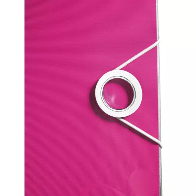 Leitz Αρχειοθέτης Active PP WOW A4/65 mm, A4, Polyfoam, ροζ, 350 φύλλα, 80 g/m², 6,5 cm