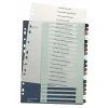 Leitz Index PC Printable 1-20 Style PP A4+, αριθμητικό ευρετήριο με tabs, πολυπροπυλένιο (PP), πολύχρωμο, κατακόρυφο, A4 Maxi, 245 mm