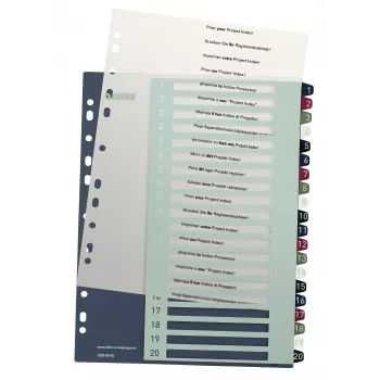 Leitz Index PC Printable 1-20 Style PP A4+, αριθμητικό ευρετήριο με tabs, πολυπροπυλένιο (PP), πολύχρωμο, κατακόρυφο, A4 Maxi, 245 mm
