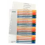 Leitz 12960000 ευρετήριο με tabs αριθμητικό ευρετήριο με tabs πολυπροπυλένιο (PP) πολύχρωμο