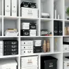 Leitz Click & Store WOW große Aufbewahrungsbox, πράσινο, χαρτόνι, 369 mm, 482 mm, 200 mm