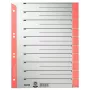 Leitz 16520025 Ευρετήριο με δείκτες Αριθμητικό ευρετήριο χαρτόνι γκρι, κόκκινο