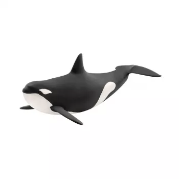 schleich WILD LIFE Όρκα, 3 έτος(-η), Πάγος & Ωκεανός, Άγρια ζώα / Παιχνίδι περιπέτειας, Πολύχρωμο, Πλαστικό, 1 τεμ.