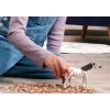 schleich BAYALA 14916 παιδικό ειδώλιο
