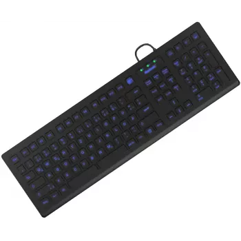 KeySonic KSK-8031INEL-B (DE) πληκτρολόγιο βιομηχανικό USB QWERTZ γερμανικό μαύρο