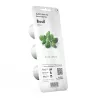 EMSA Click & Grow Βασιλικός
