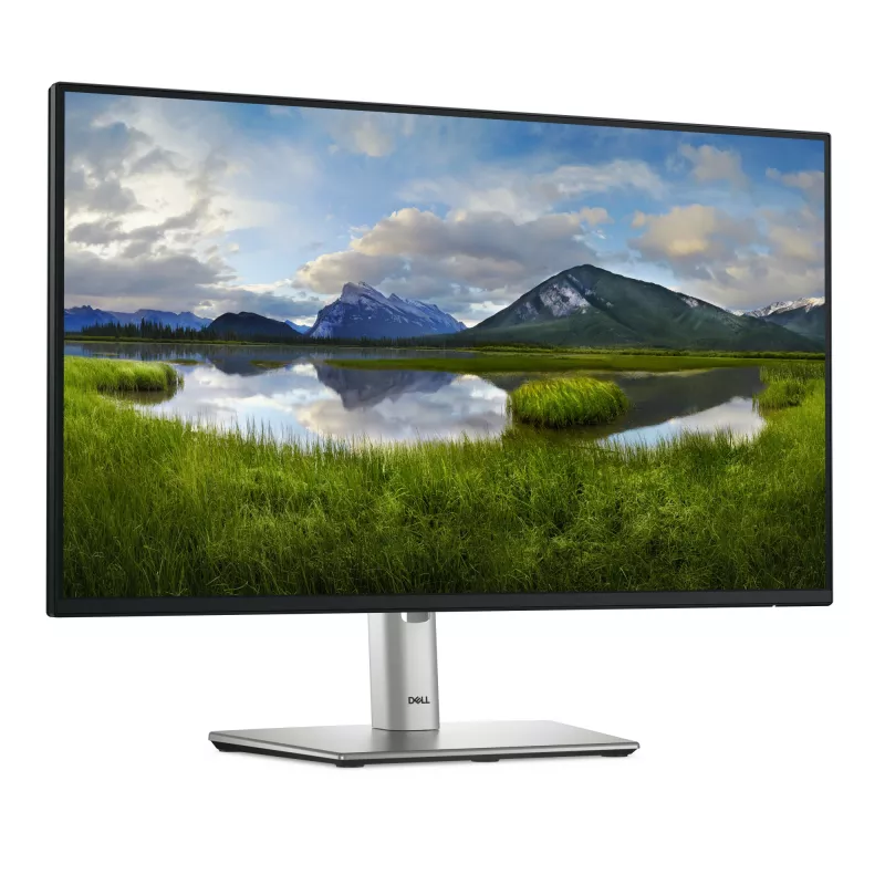 DELL Pro Plus P2425HE Υπολογιστής οθόνη 60,5 cm (23,8 inch) 1920 x 1080 Pixel Full HD LCD μαύρο