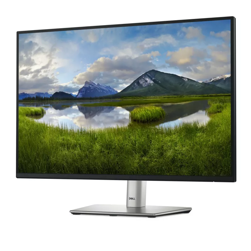 DELL Pro Plus P2425 Υπολογιστής οθόνη 61,1 cm (24,1 inch) 1920 x 1200 Pixel WUXGA LCD μαύρο