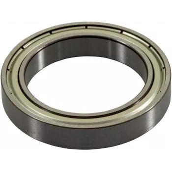 Ricoh G0524618 Ανταλλακτικό/παρελκόμενο εκτυπωτή/σαρωτή Ρουλεμάν 1 τεμ.