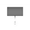 Multibrackets M VESA Gas Lift Arm Single White