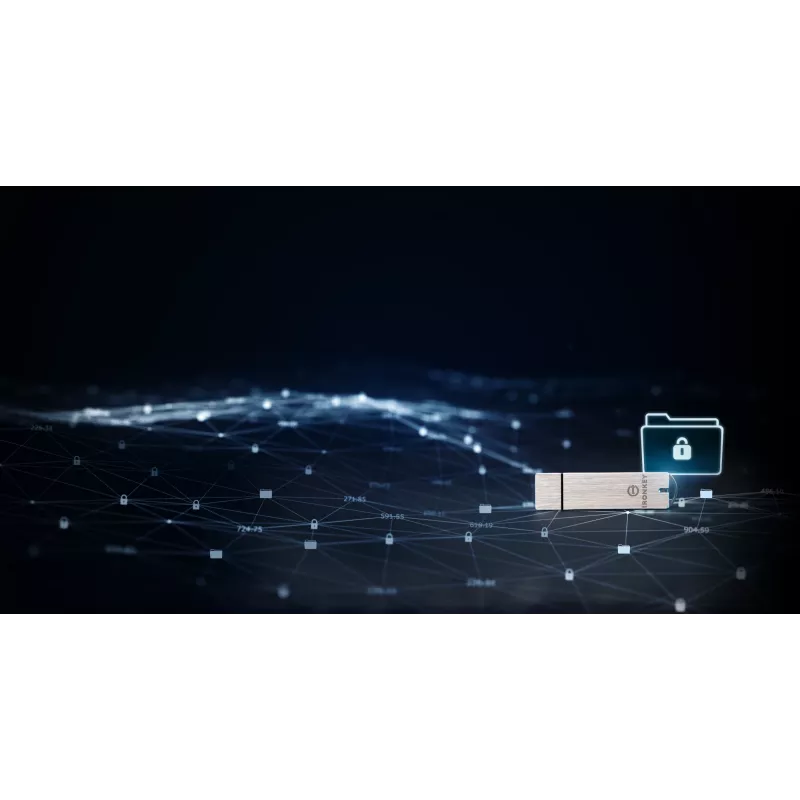 Kingston Technology IronKey 64GB Basic S1000 Κρυπτογραφημένο USB 3.0 FIPS 140-2 Level 3