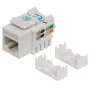 Intellinet Keystone Jack, Cat6, UTP, LSA, λευκό, επίπεδο, λευκό, RJ-45, υποδοχή θηλυκή, 22/26, Cat6
