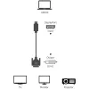 Techly ICOC DSP-C12-030P Προσαρμογέας καλωδίου βίντεο 3 m DisplayPort DVI-D Μαύρο