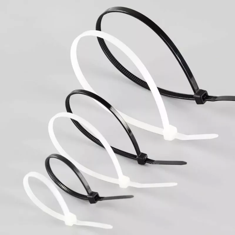 Techly Δεματικά καλωδίων Nylon Patch 100X2,5 mm 100 τεμ. Μαύρο ISWT-10025-BK