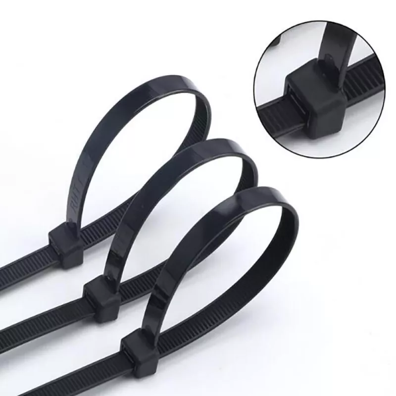 Techly Δεματικά καλωδίων Nylon Patch 100X2,5 mm 100 τεμ. Μαύρο ISWT-10025-BK