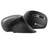 Techly IM 1100-VM-B Ποντίκι Ιατρικό Δεξιόχειρας RF Wireless Οπτικό 3200 DPI