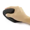 Techly IM 1200-VM-B Ποντίκι Ιατρικό Δεξιόχειρας RF Wireless Οπτικό 1600 DPI