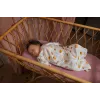 Κάμερα Philips AVENT Connected SCD921/26 1080p 400m Wi-Fi