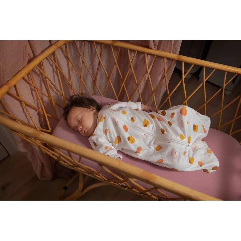 Κάμερα Philips AVENT Connected SCD921/26 1080p 400m Wi-Fi