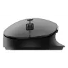 Philips SPK7507B/00 ποντίκι γραφείου για δεξιόχειρες RF Wireless οπτικό 3200 DPI
