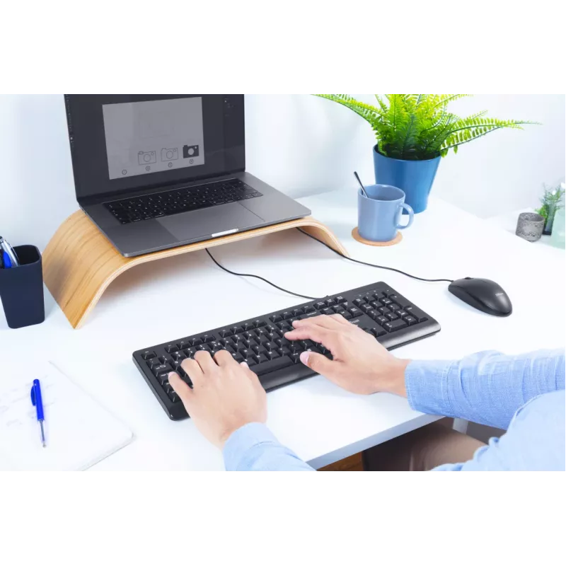 Trust Primo πληκτρολόγιο Universal USB AZERTY βελγικό μαύρο