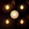 Trust 71287 Smart Lighting Έξυπνος λαμπτήρας WLAN