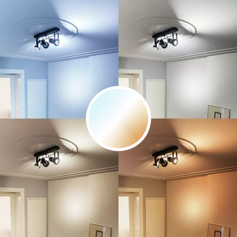 Trust 71296 smart lighting Έξυπνος λαμπτήρας Wi-Fi