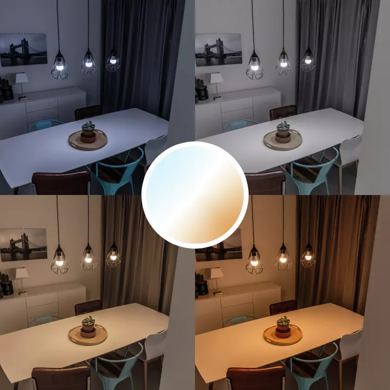 Trust 71298 smart lighting Έξυπνος λαμπτήρας Wi-Fi