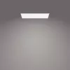 Φωτιστικό οροφής Philips Functional Panel 36 W LED ορθογώνιο 300×1200×42 mm, λευκό