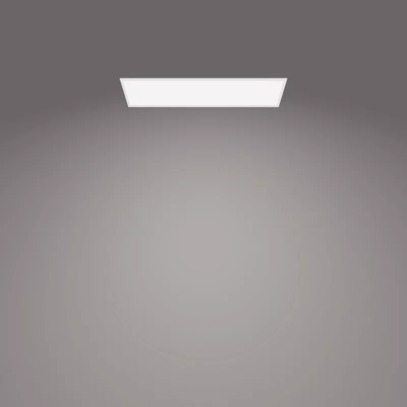 Φωτιστικό οροφής Philips Functional Panel 36 W LED ορθογώνιο 300×1200×42 mm, λευκό