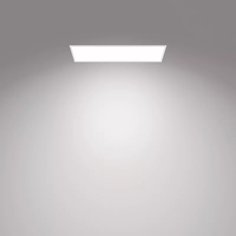 Φωτιστικό οροφής Philips Functional Panel 36 W LED ορθογώνιο 300×1200×42 mm, λευκό