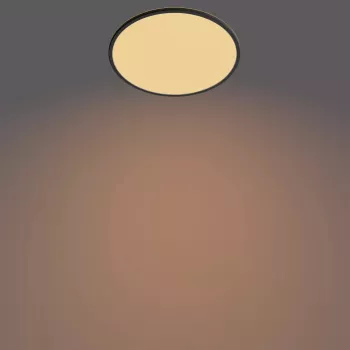 Φωτιστικό οροφής Philips Functional Super λεπτό 22 W μαύρο LED στρογγυλό