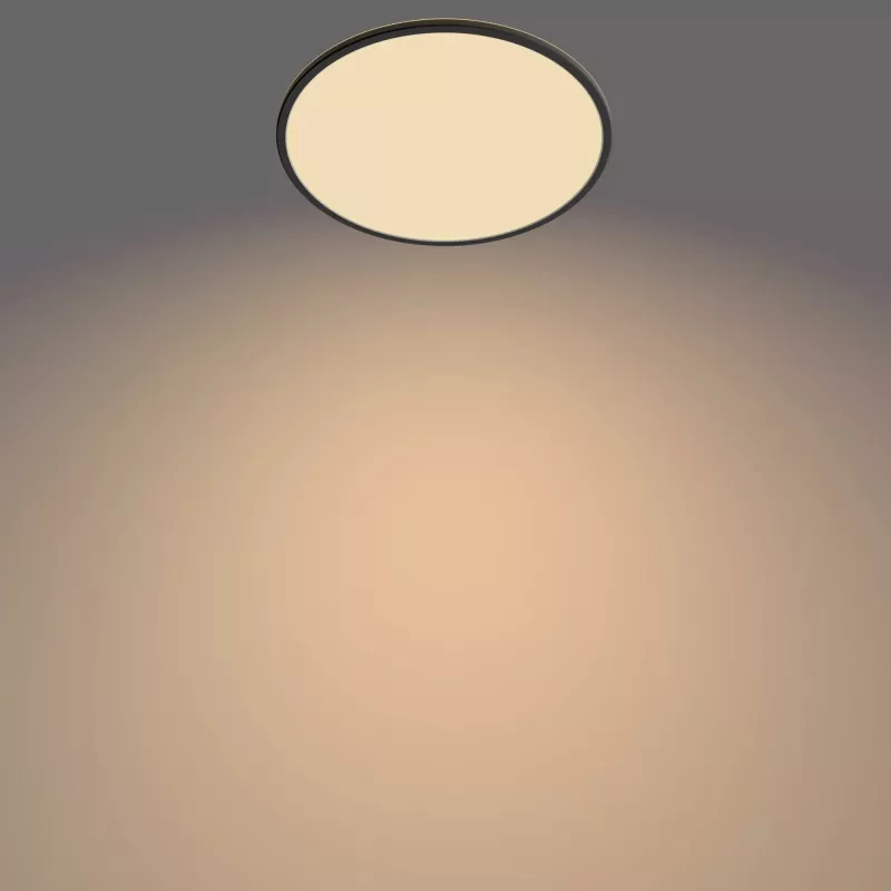 Φωτιστικό οροφής Philips Functional Super λεπτό 22 W μαύρο LED στρογγυλό