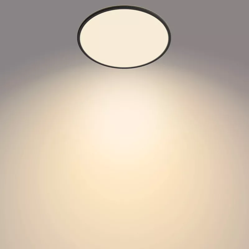 Φωτιστικό οροφής Philips Functional Super λεπτό 22 W μαύρο LED στρογγυλό