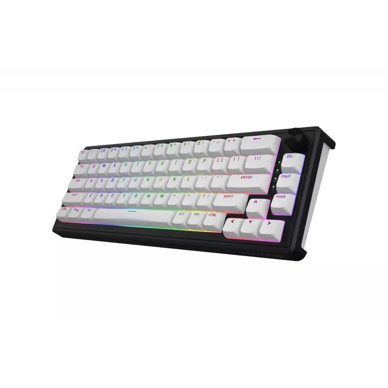 HATOR Skyfall Wireless 65 Πληκτρολόγιο Gaming USB + RF Wireless + Bluetooth QWERTY US English Μαύρο, Λευκό