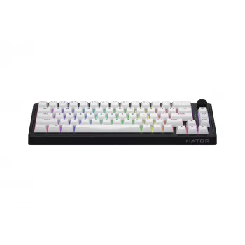 HATOR Skyfall 65 MAG ULTRA 8K Πληκτρολόγιο Gaming USB QWERTY US-Αγγλικά Μαύρο, Λευκό
