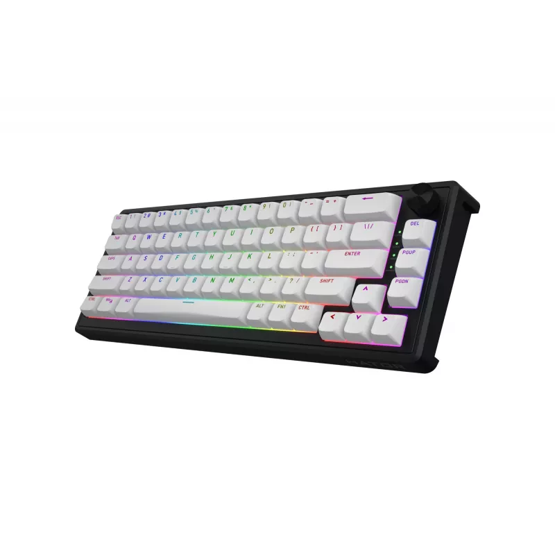 HATOR Skyfall 65 MAG ULTRA 8K Πληκτρολόγιο Gaming USB QWERTY US-Αγγλικά Μαύρο, Λευκό