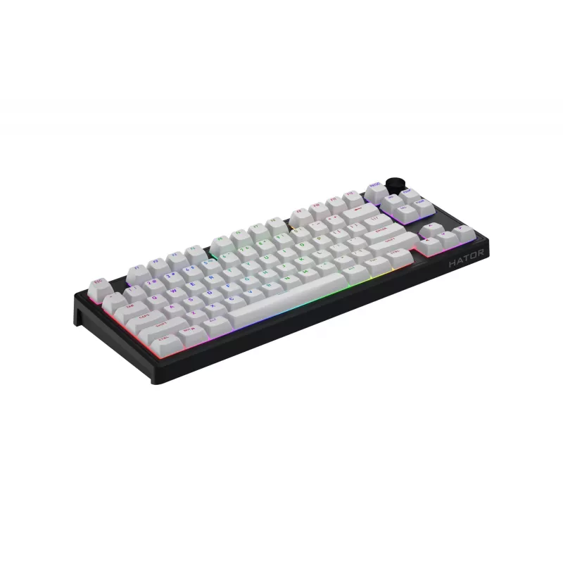 HATOR Skyfall 80 MAG ULTRA 8K πληκτρολόγιο Gaming USB QWERTY US-Αγγλικά μαύρο, λευκό