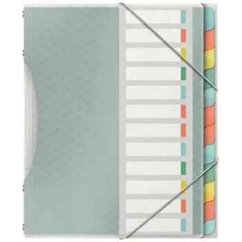 Esselte Colour'Breeze Διαχωριστικό με 12 καρτέλες, Πολύχρωμο, Πολυπροπυλένιο (PP), 266 mm, 20 mm, 370 g, 1 τεμ.